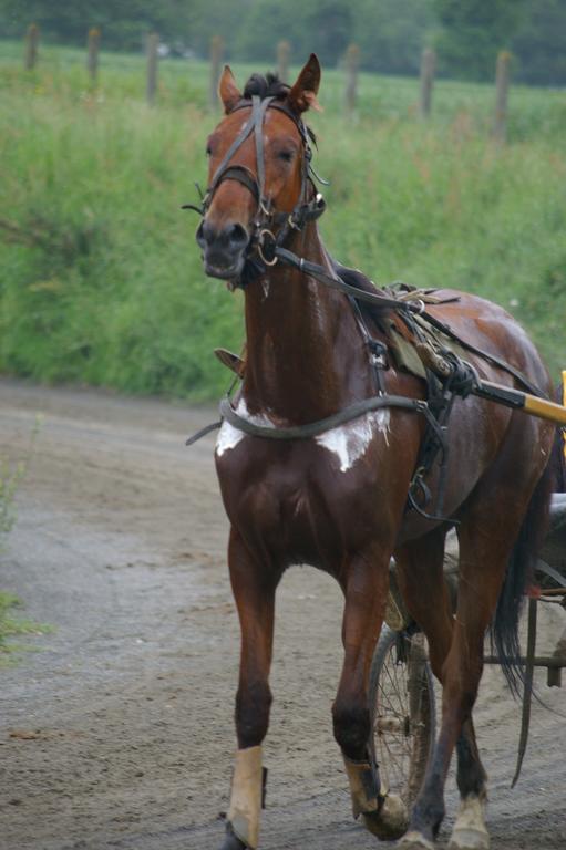 Gite Aristide Mont Saint Michel Sacey エクステリア 写真